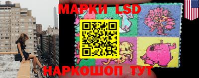 индика Краснознаменск