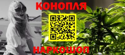 индика Краснознаменск