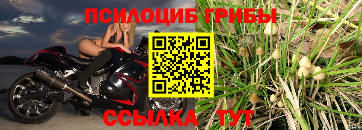 Псилоцибиновые грибы Magic Shrooms  Вход с VPN  Балтийск 