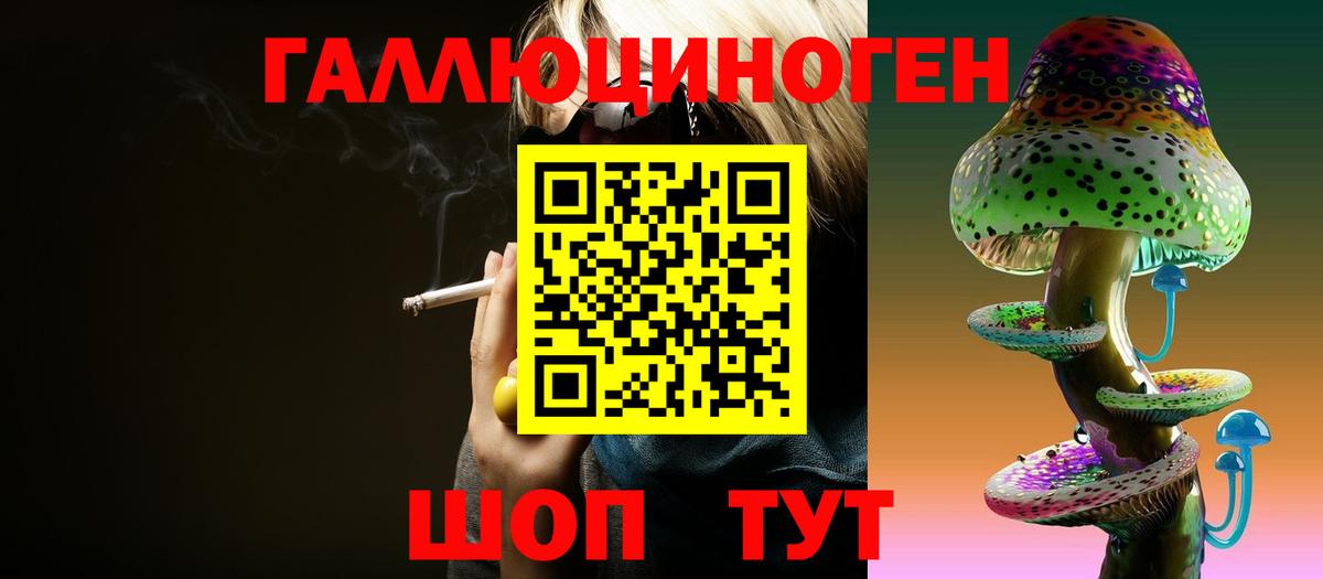 Псилоцибиновые грибы прущие грибы Балтийск